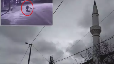 Barınaktan firar eden ayı şehri ayağa kaldırdı