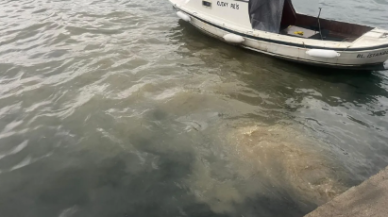 Bakanlık’tan denize kanalizasyon atığı döken İSKİ’ye ceza