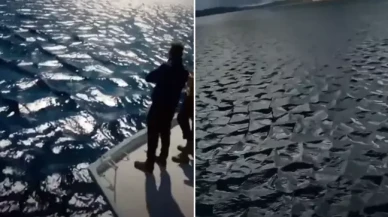 Ege Denizi'nde oluşan kare dalgalar korkuttu