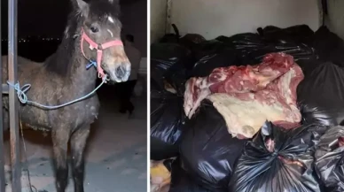 Gıda terörüne darbe: Bakanlık sahtekârları ifşa etti!