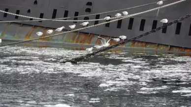 Çanakkale Boğazı'nda müsilaj kabusu geri döndü!