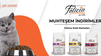 Felicia Kedi Maması ile Kedinizin Beslenme Kalitesini Zirveye Taşıyın