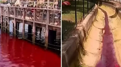 Nehir aniden kırmızıya dönüştü,  kimse ne olduğunu anlamadı