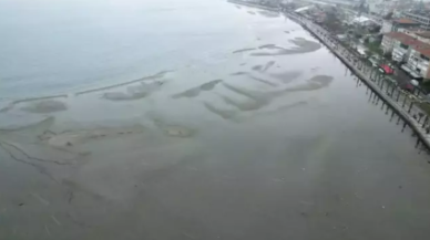 İstanbul'da çekilen görüntü ürküttü,  sebebi ne?