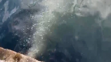 Marmara Denizi'ne atık su deşarjı nedeniyle İSKİ'ye 2, 6 milyon lira ceza