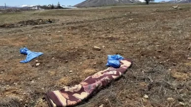 72 yaşındaki adam başıboş sokak köpekleri tarafından öldürüldü