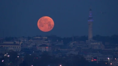 İstanbul'da baharın habercisi 'Pembe Ay' görsel şölen oluşturdu