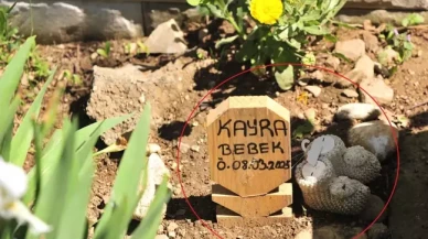 Kürtajla alınan cenin için soruşturma! Patik bırakılan mezar açılacak