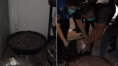 Mideleri altüst eden manzara! Bu görüntüler düğün menüsünden çıktı