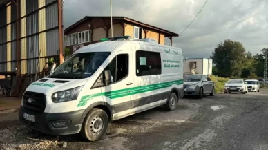 Hatay'da bekçilik yapan yaşlı adamın cansız bedeni bulundu