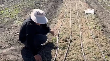 İşsiz kalınca ekti, hayatı bir anda değişti! Kilosunu 200-300 bin TL'ye satıyor