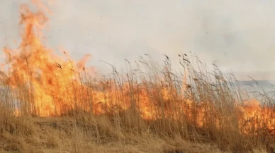 Hakkari’de Nehil Sazlığı alevlere teslim oldu