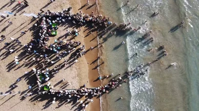 Muğla’da tedavileri tamamlanan 15 deniz kaplumbağası doğaya salındı