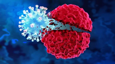 Kanser tedavisinde yeni bir aşı geliştirildi