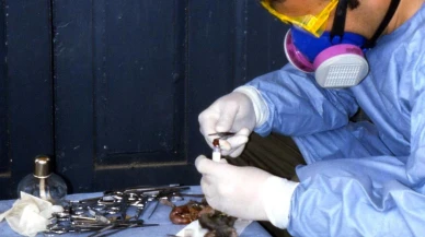 Yeni salgın alarmı: Çin’de sivrisinek kaynaklı Chikungunya Virüsü yayılıyor