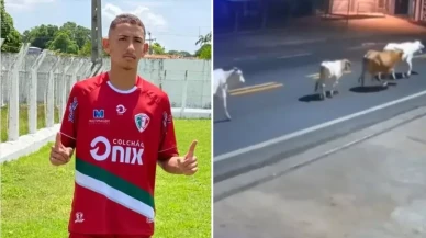 Başıboş inekler, genç futbolcunun sonu oldu