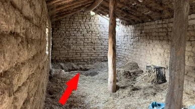 14 yıldır aranıyordu! Vahşet meğer kardeşi öldürüp bakın nereye gömmüş..