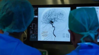 Türkiye'de yıllar sonra 2 vaka görüldü! Tedavisi yok, komaya götürüyor