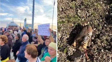 Paşalimanı Adası'nda avcılar protesto edildi