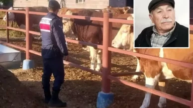 Beslediği hayvan yaşlı adamın sonu oldu!