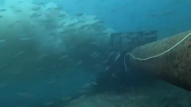 Su altı kamerasıyla belgelendi: Çanakkale Boğazı’nda pis su denize akıtılıyor