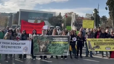 İstanbul’da hayvan hakları savunucuları besleme yasaklarını protesto etti