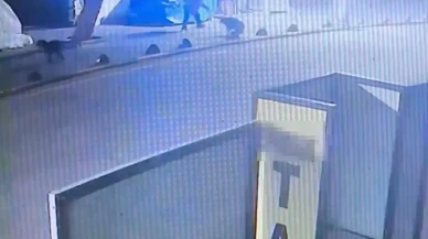 Kuşadası’nda emekli astsubay sokak köpeğini vurdu