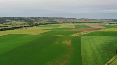 İmar değişikliğinde yeni dönem başlıyor: Değer artışının yüzde 90’ı devlete gidecek