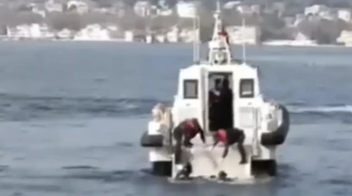 Beykoz açıklarında erkek cesedi bulundu