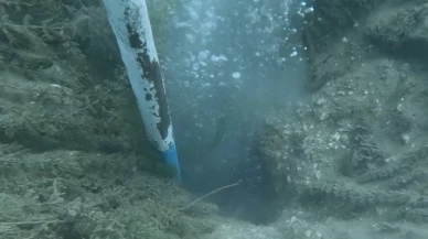 Sapanca Gölü’nde kaynayan su paniği! Uzmanlar kabarcıkların nedenini açıkladı