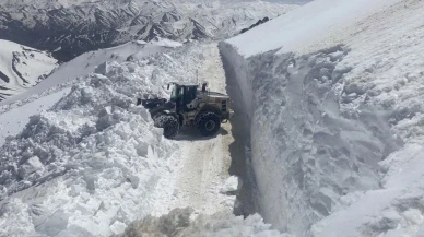 Hakkari'de kar nedeniyle 22 üs bölgesinden 18’inin yolu açıldı