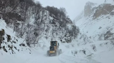 Artvin Ardanuç’ta çığ düştü, çobanların kar altında kalmış olabileceği bildirildi
