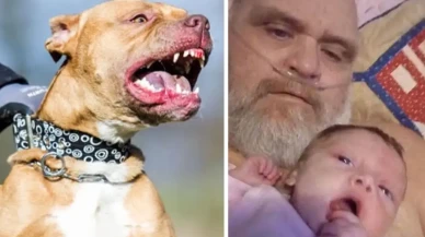 ABD'de pitbull dehşeti: Saldırıya uğrayan dede ve torunu hayatını kaybetti