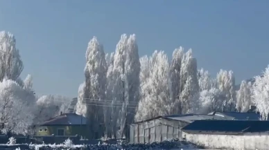 Ardahan Göle’de hava sıfırın altında 20 derece: Halayla ısındılar, araçlar dondu