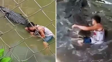 Heykel sandığı gerçek timsahın saldırısına uğrayan turist ağır yaralandı