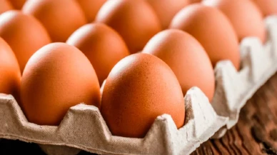 Yumurta fiyatları yapılan düzenlemelerin ardından normale döndü