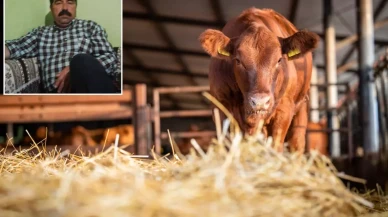 Süt sağmak için girdiği ahırdan cansız bedeni çıkarıldı