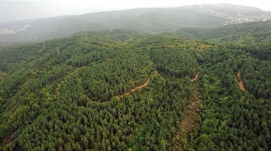 Valilik açıkladı! 177 gün süreyle girişler yasaklandı