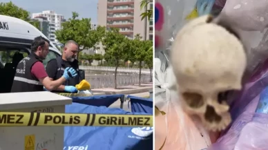 Çöpte bulunan insan kafatasını uzman doktorun eşi atmış