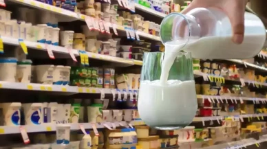 Rekabet Kurumu ünlü süt firmalarına yönelik soruşturma başlattı