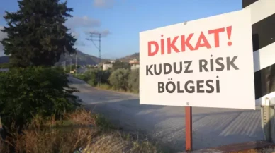 Hatay’da Kuduz Alarmı: Dört mahalle karantinada!