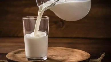 Rekabet Kurumu ünlü süt firmalarına yönelik soruşturma başlattı