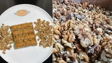 Ünlü baklavacının kurtlu ceviz skandalı büyüyor!