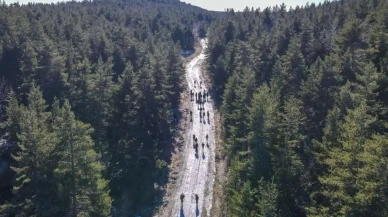 Ankara'da ormanlara giriş yasaklandı