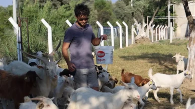 İki üniversite mezunu, yaptığı işi duyan şaşırıyor