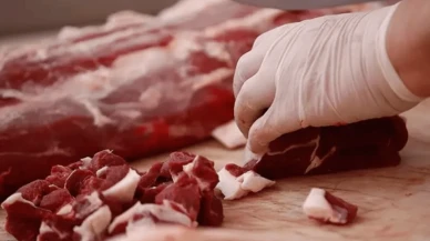 Kıymaya "at ve eşek eti" katan şirket! Belediyelere ve hastanelere hizmet vermiş!