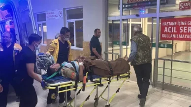 Arazi kavgası: Eski muhtar kardeşini öldürdü, ailesini yaraladı