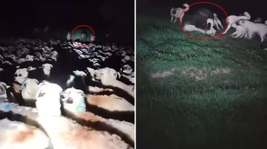 Korku filmini andıran görüntü! Aniden ortaya çıktı