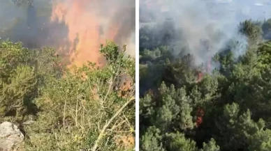 İstanbul Aydos Ormanı’nda yangın!