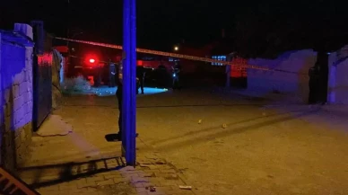 Eniştenin kuma isteği faciaya neden oldu